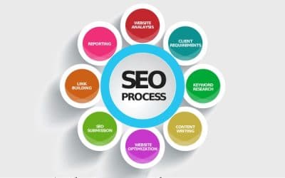 Website vs SEO